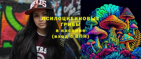 бошки Верея