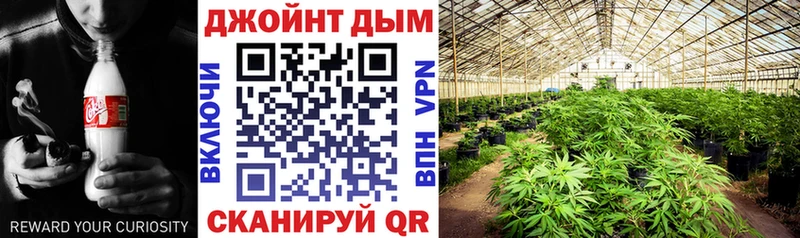 Бошки марихуана марихуана  наркота  площадка Telegram  Елабуга 